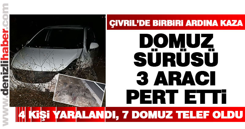 Çivril’de birbiri ardına kaza. 4 kişi yaralandı, 7 domuz telef oldu