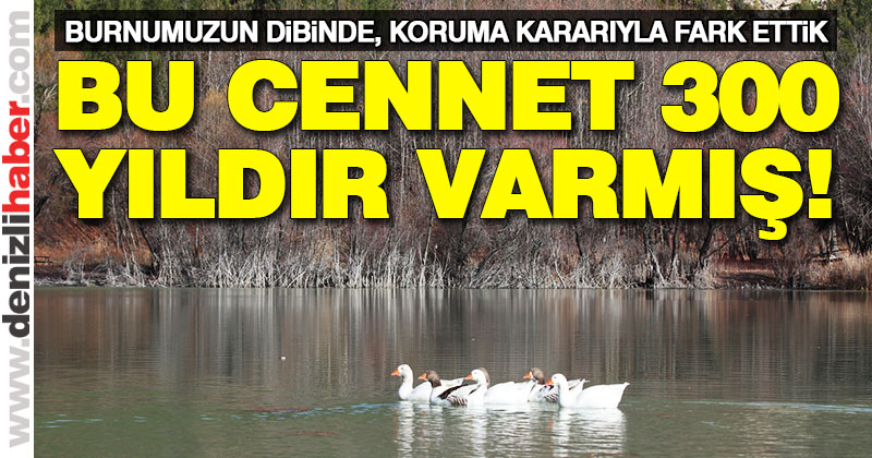 Burnumuzun dibindeki cennetten köşe 300 yıldır varmış