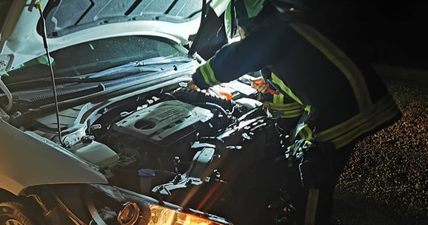 Domuza çarpan otomobilin sürücüsü yaralandı