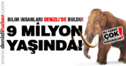 Denizli’de 9 milyon yıllık hayvan fosilleri bulundu