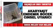Kaçakçılar sınır tanımıyor