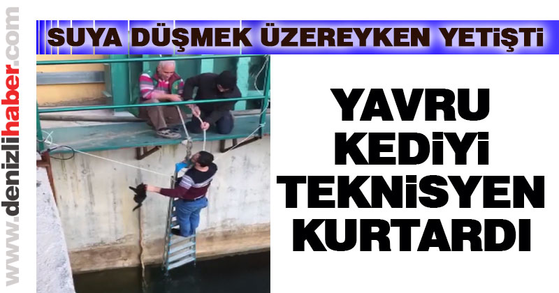 Yavru kediyi teknisyen kurtardı