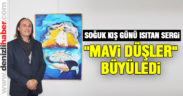 “Mavi Düşler” sanat sevenlerle buluştu
