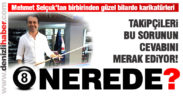 Bilardo İl Temsilcisi Karikatürist Mehmet Selçuk’un siyah 8 bilardo topu nerede?