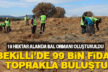 Bekilli’de 18 hektar alana 99 bin fidan dikildi