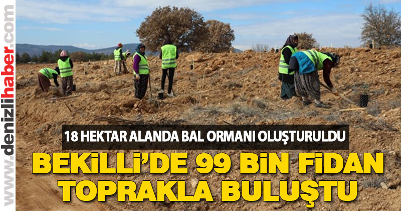 Bekilli’de 18 hektar alana 99 bin fidan dikildi