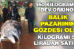 450 kilogramlık orkinos ilgi odağı oldu