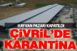 Çivril’de şap hastalığı karantinası