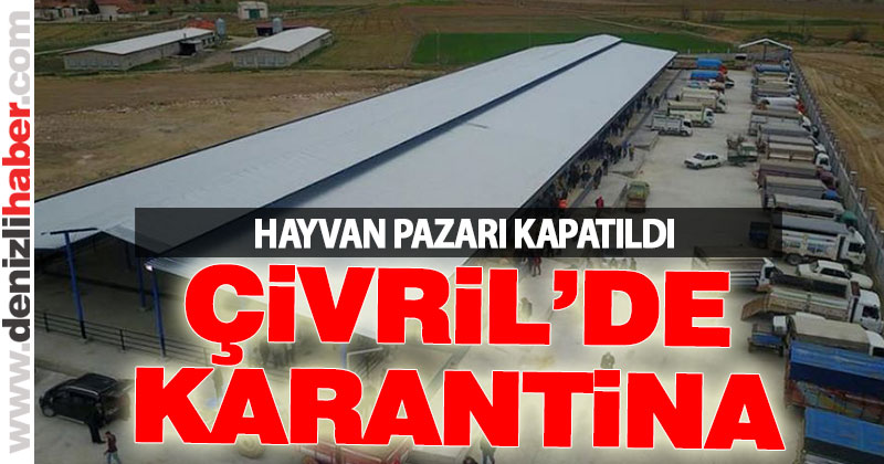 Çivril’de şap hastalığı karantinası