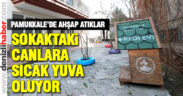 Pamukkale’de ahşap atıklar, sokaktaki canlara yuva oluyor