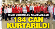 Pembe Şehir Projesi ile 134 can kurtarıldı