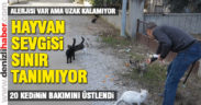 Alerjisine rağmen sokak hayvanlarından uzak kalamıyor