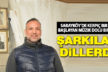 Sarayköylü sanatçı Sakin Künar’ın eserleri dillerde