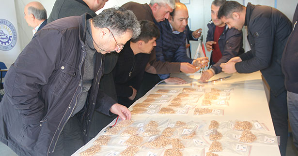 Leblebilik Nohut Islahı Projesi için toplantı yapıldı