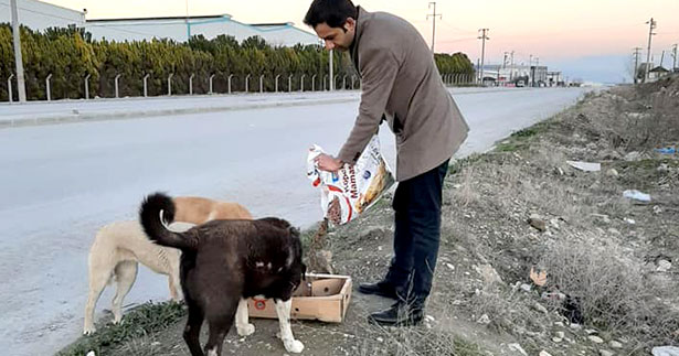 Ülkü Ocaklarından hayvan dostu hareket
