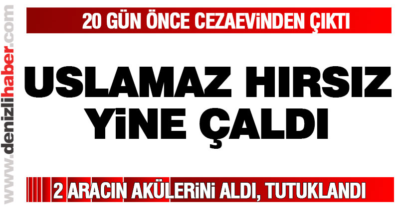 20 gün önce cezaevinden çıktı, yine çaldı
