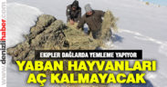 Yaban hayvanları için yemleme yapılıyor