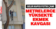 Fıstık çamı gelir kapısı