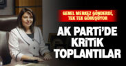 Ak Parti’de kadın kolları için adaylık süreci işliyor