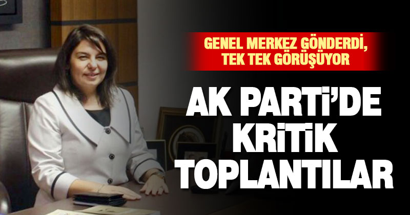 Ak Parti’de kadın kolları için adaylık süreci işliyor
