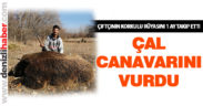 Çiftçinin korkulu rüyası “Çal Canavarı”nı vurdu