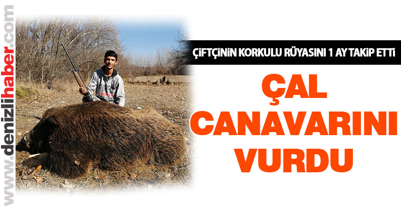 Çiftçinin korkulu rüyası “Çal Canavarı”nı vurdu
