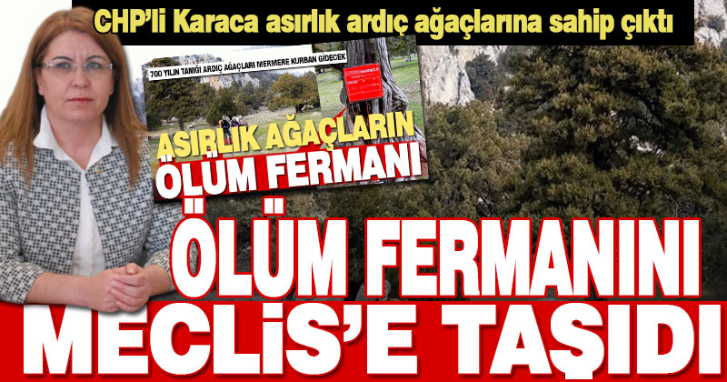 CHP’li Karaca, Çardak’taki asırlık ardıç ağaçlarının ölüm fermanını TBMM’ye taşıdı
