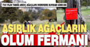 Asırlık ardıç ağaçlarının bulunduğu alandan mermer çıkarılacak