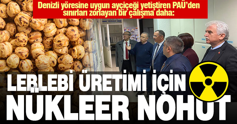 PAÜ, nükleer teknikler kullanarak leblebilik nohut üretecek
