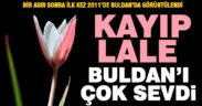 Kayıp lale Buldan’ı çok sevdi; bu yıl da açtı