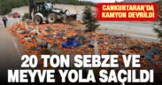Meyve sebze yüklü kamyon devrildi