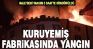 Kale’deki kuru yemiş fabrikasında yangın çıktı