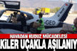 Tilkiler kuduza karşı havadan aşılanıyor