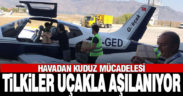 Tilkiler kuduza karşı havadan aşılanıyor