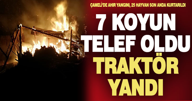 Ahırda çıkan yangında 7 koyun telef oldu, traktör yandı