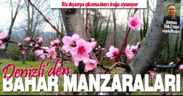 Denizli’nin dört bir yanından bahar manzaraları