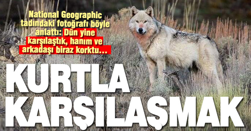 Denizli-Burdur sınırından bir vahşi yaşam fotoğrafı