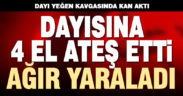 Dayı yeğen kavgasında kan aktı