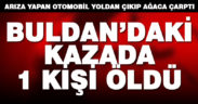 Yol kenarındaki ağaca çarpan otomobilde 1 kişi öldü