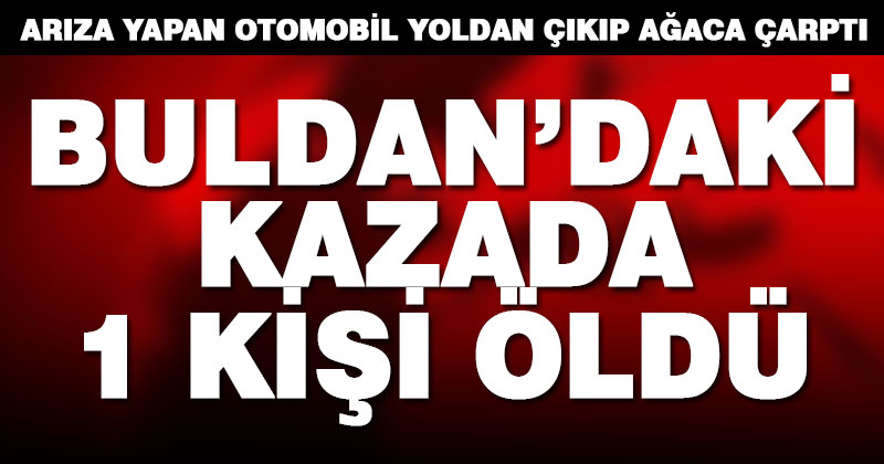 Yol kenarındaki ağaca çarpan otomobilde 1 kişi öldü