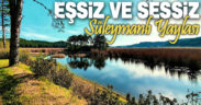 Süleymanlı Yaylası’na bahar geldi