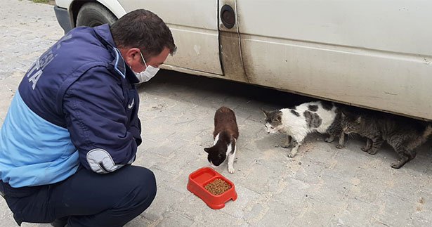 Çal’da sokaktaki canlara sıcak dokunuş