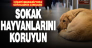İçişleri Bakanlığı’ndan sokak hayvanları için genelge