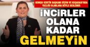 Çerçioğlu’ndan Didim ve Kuşadası’na ‘incirler olana kadar gelmeyin’ çağrısı