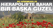 Hierapolis Antik Kenti gelincik çiçekleriyle bezendi