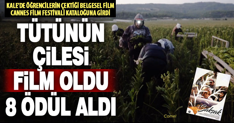 Denizli’nin tütün üretimi film oldu, 8 ödül aldı, dünyaca ünlü kataloğa girdi