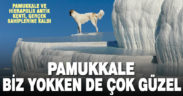 Pamukkale ve Hierapolis’in gerçek sahipleri