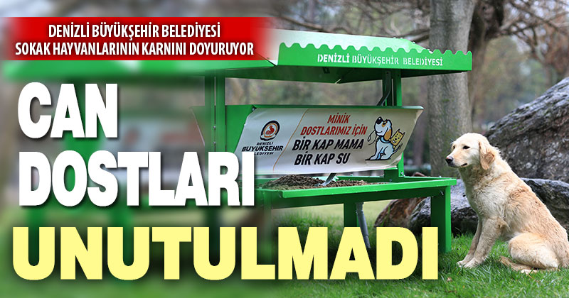 Büyükşehir can dostları da unutmadı