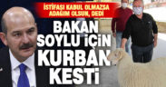 Bakan Soylu için adak adayan Kaleli vatandaş kurban kesti
