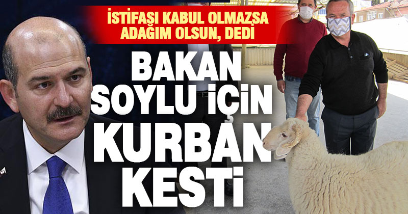 Bakan Soylu için adak adayan Kaleli vatandaş kurban kesti